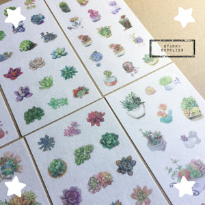 Watercolour Cactus Sticker Pack - 6 Sheets/pack